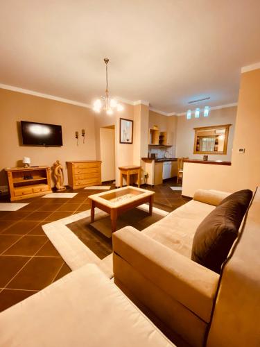 2 queen beds, 2 twin beds, 1 sofa bed