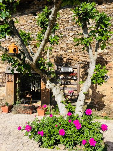 Chambres et maison d hôtes A la Placette Albigeoise tout près d Albi