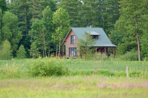 . Domek w Biebrzańskim Eldorado