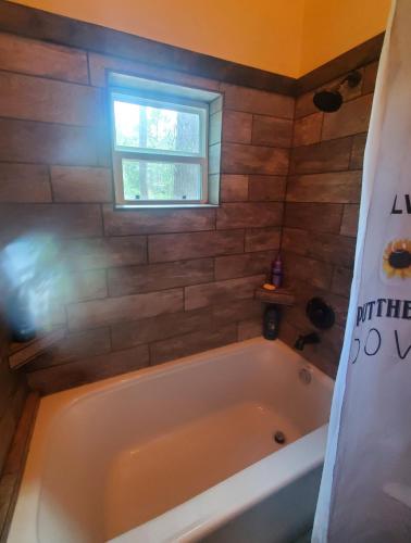 Waterfront Lonestar Cabin in a Magical Forest in Magnolia (TX)