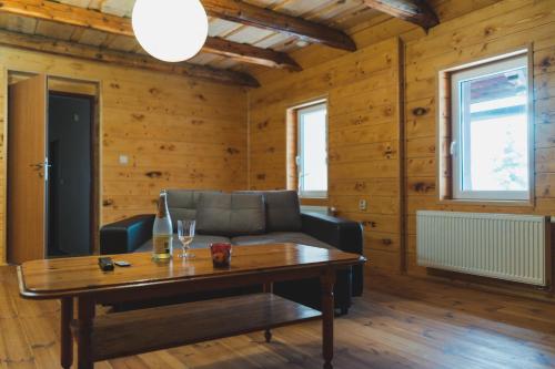 Family Room with Sauna