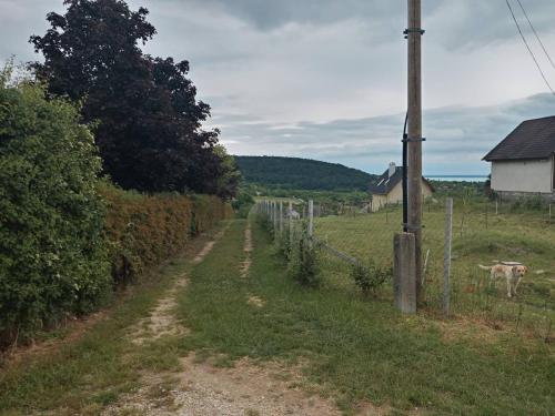 Felsőörsi Nyugalom (Felsoorsi Nyugalom) in Felsoors