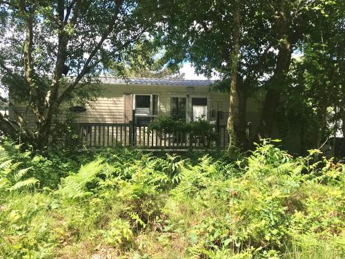 Forest View at Oakdene Forest Park - Leisure Passes Included! 1