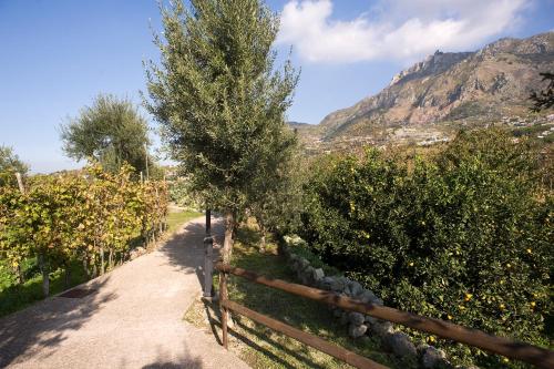 Park Hotel Terme Mediterraneo - image 8