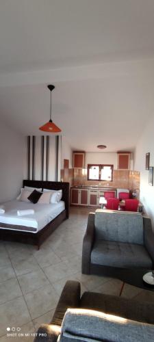 Apartments Tara - image 5