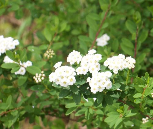 Creekside Lodge Bathpool Launceston Cornwall Creekside Lodge Bathpool Launceston Cornwall