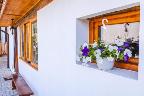 Ieeja, Chalet Giuel Transilvania in Barcut