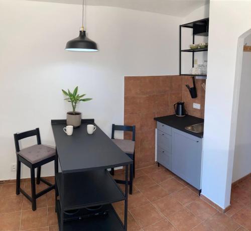 Kitchen, Apartmany u reky Nezarky in Lásenice