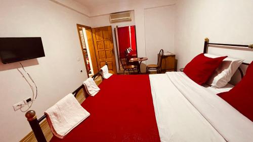 Hotel Drinos - main image