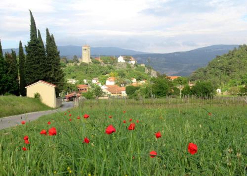 Apartma Qbed - Apartment - Gračišče