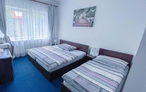 Minihotel Vitex, Praga