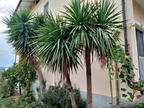  Casa il Canto in Tortoreto Lido