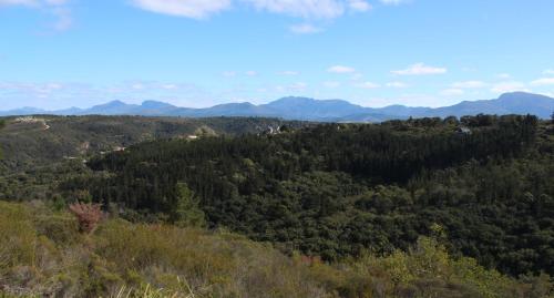 SERENE VIEW, simply beautiful accommodation, Groot Brak River (foto 3)