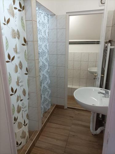 Bathroom, Evita Vendeghaz in Sajószentpéter