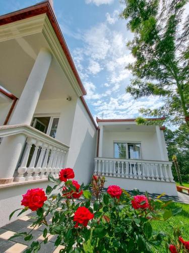 Frenki'S Residence