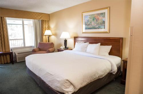 Clarion Inn Pocatello - image 5