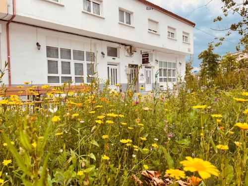 Albergue SIXTOs no Caminho - image 5