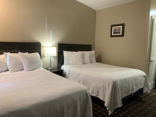 Two Double Beds Room