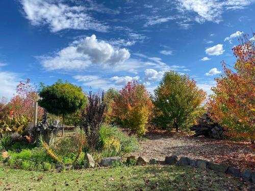 Pull Up Stumps in Rutherglen
