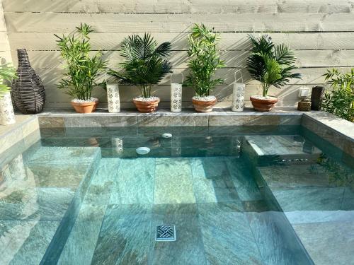 Plus Sud - Gite with plunge pool near Canal du Midi cottage Névian