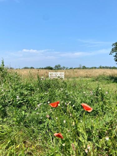 Am Achterwasser DORF 12