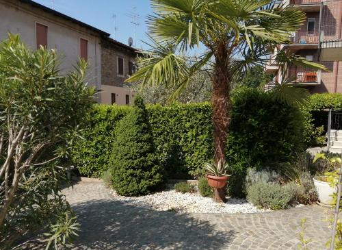 Stanze Ildesco, Bergamo (Foto 5)