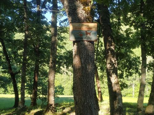 Cabanas Bungalow Habitaciones, Camping y Albergue Valle do Seo