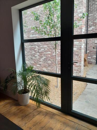 Picture of The Eden Warehouse - Pink Apartment (Sleeps 4)