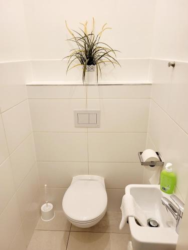 Buchengasse Apartment Vienna - Free Highspeed-Internet Room Type - Apartment - Ground Floor