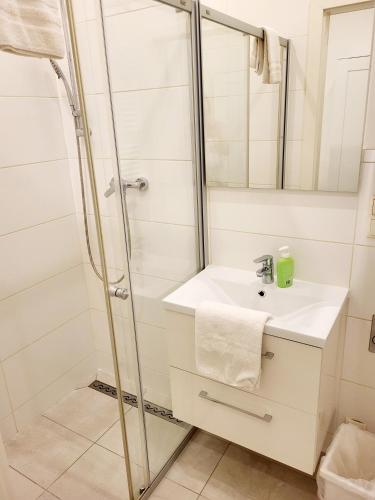 Buchengasse Apartment Vienna - Free Highspeed-Internet, Vídeň (fotografie 11)