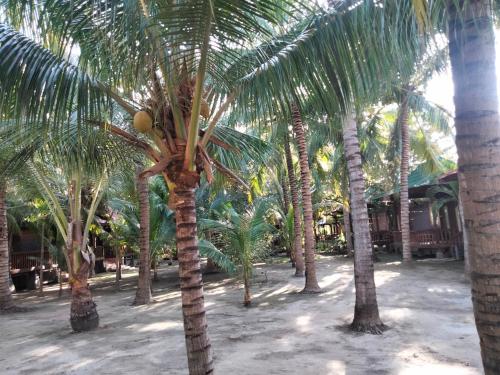 Bronze Bungalows