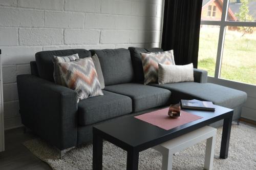 16 - Fulufjellets nasjonalparker - snø - alpint - langrenn - snøscooter in Trysil