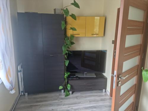 Apartament Baszta Kaszana