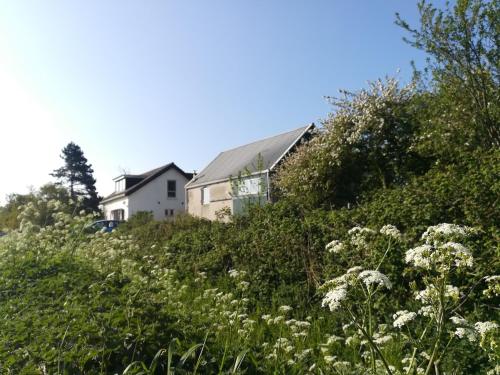  in de Boomgaard in Burgh-Haamstede