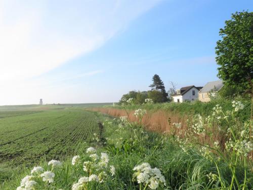  in de Boomgaard in Burgh-Haamstede