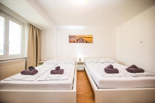 Lavie, Vienna (photo 6)