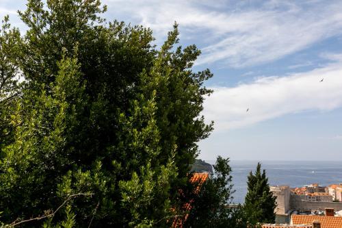 Apartment Tonka - Two bedroom apartment with partial sea view