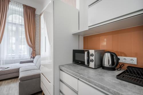 One-Bedroom Apartment image 6