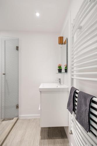 One-Bedroom Apartment image 3