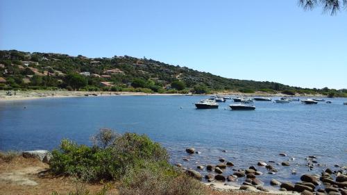 Vardiola/porto Vecchio - Location saisonnière - Zonza