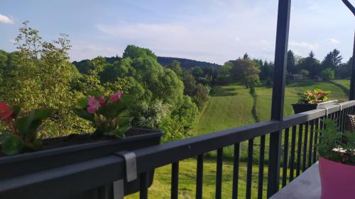  Nirvána Vendégház Bakony in Borzavár