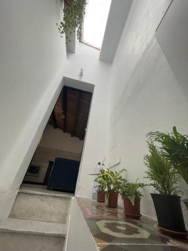 Short Lets - A casa Ru suli