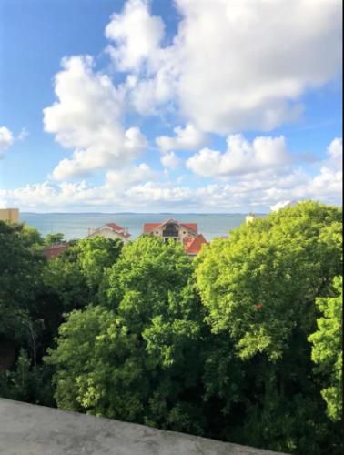 Appartement vue sur baie et océan, 100 m de la plage et du centre par chemin privé