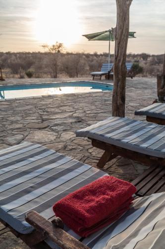 Hohenstein Lodge in 卡里比布