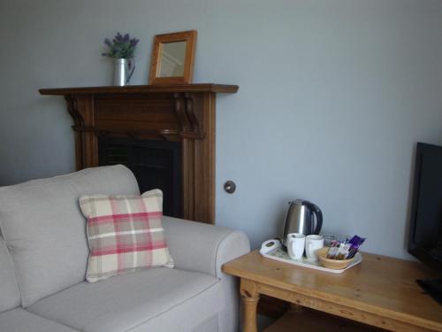 Glanllifon B&B - image 4