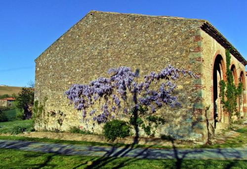 En Pascot - 3 chambres dans ferme typique - jardin, barbecue, billard - entre Toulouse et Carcassonne - à 10 mn du Canal du Midi - aquaparc, waterjump, voile, paddle, tous commerces et services