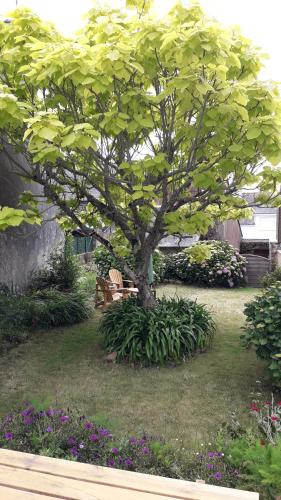 Le petit Pigeonnier à 700m de l'océan sur la presqu'ils de Rhuys