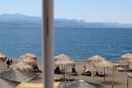 Το Κοράλι, Amarynthos (foto 7)