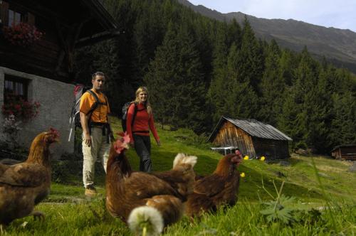 Aparthaus Camping Stubai - image 14