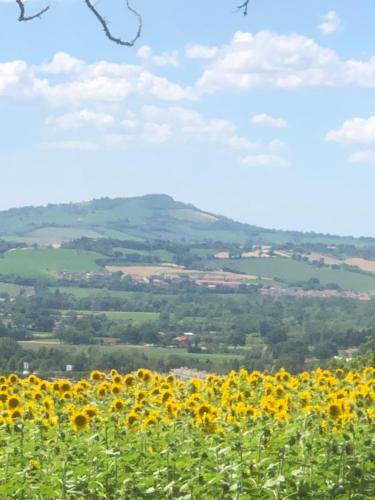 Casale del monte, Pesaro